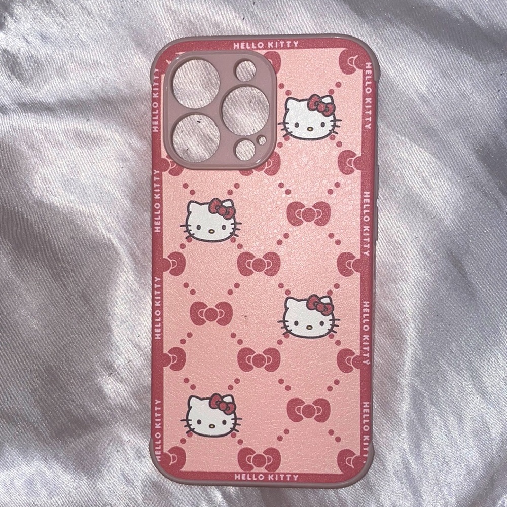 Hello kitty case